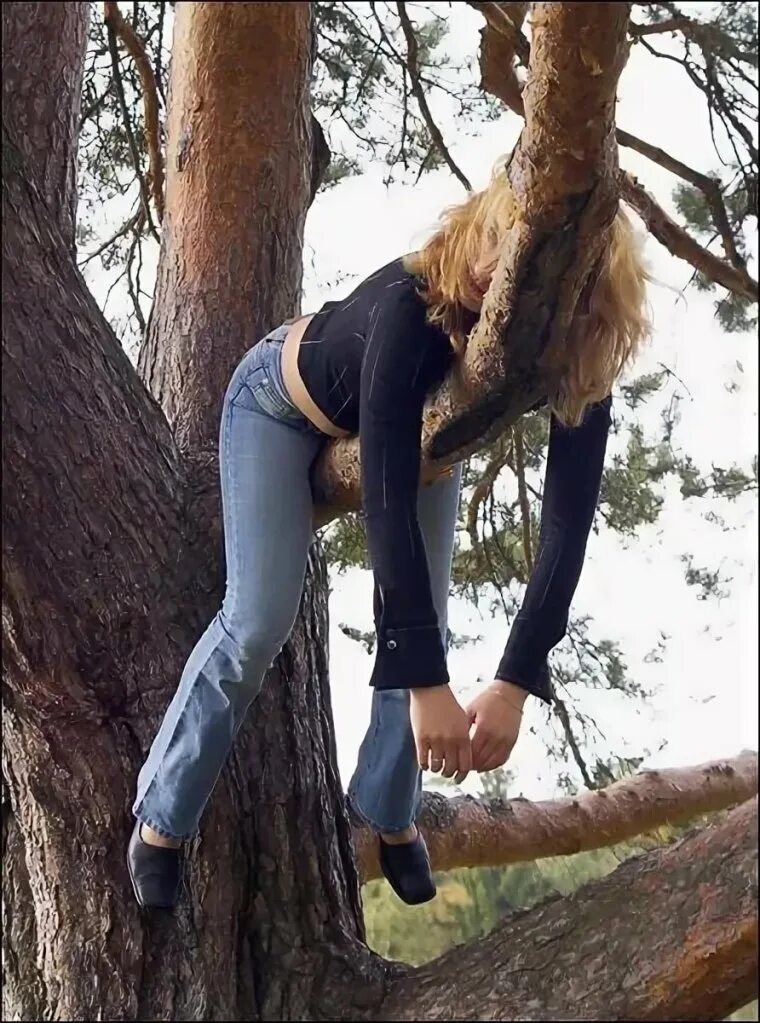 На сучках висят. Девушка висит на дереве. Девушка повисла на дереве. Девушка весит на дереве.