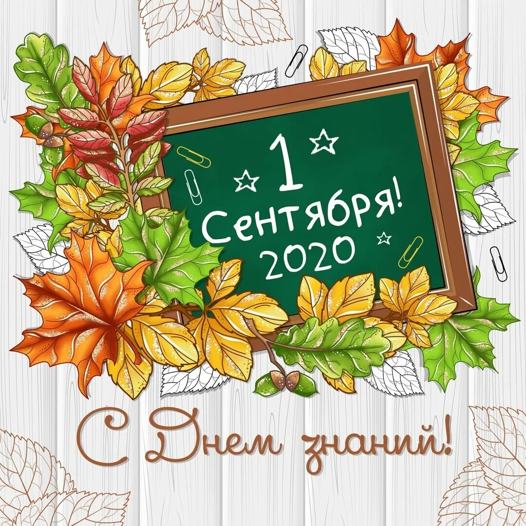 Поздравляю учебного года. 1 Сентября день знаний. С началом учебного года. С днем знаний поздравление. 1 Сентября плакат.