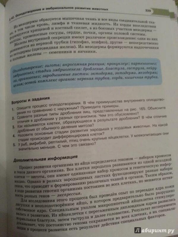 Петросова биология читать. Биология 10 класс Теремов Петросова. Биология 10 класс Теремов Петросова читать. Биология 10 класс учебник углубленный уровень шумного. Биология 10 класс Теремов углубленный уровень читать.