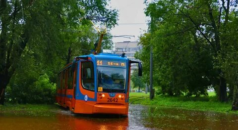Речные электробусы