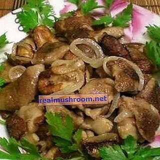 Вешенки в сметане