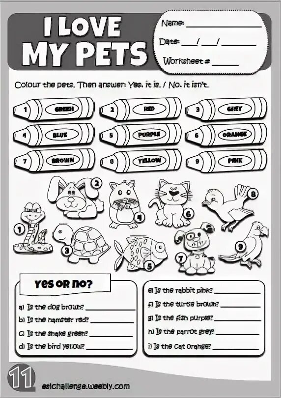 Pets задания для детей. My pets английский язык. My pet worksheets for kids. Питомцы задания для дошкольников английский. Задание животные на англ для дошкольников.
