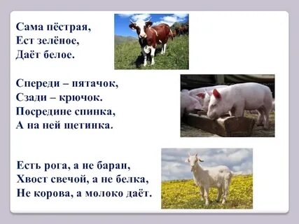 Пестрая ест зеленое дает белое