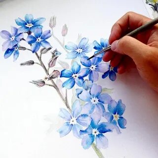 Рисуем незабудки поэтапно