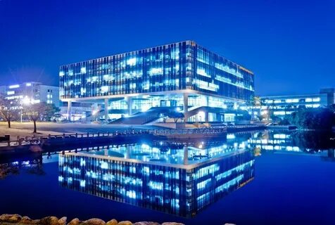 Kaist university