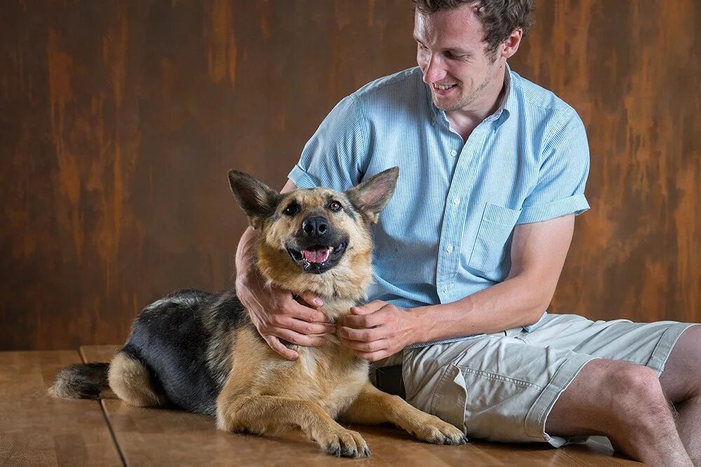 Реабилитация животных. Реабилитация животных. Реабилитация животных. Врач реабилитолог для собак. Реабилитация в ветеринарии.