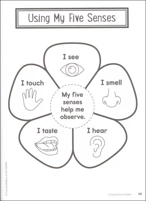 Do your life taste. Пять чувств на английском для детей. Five senses Worksheet. Senses Worksheet. Worksheets for 5 senses.