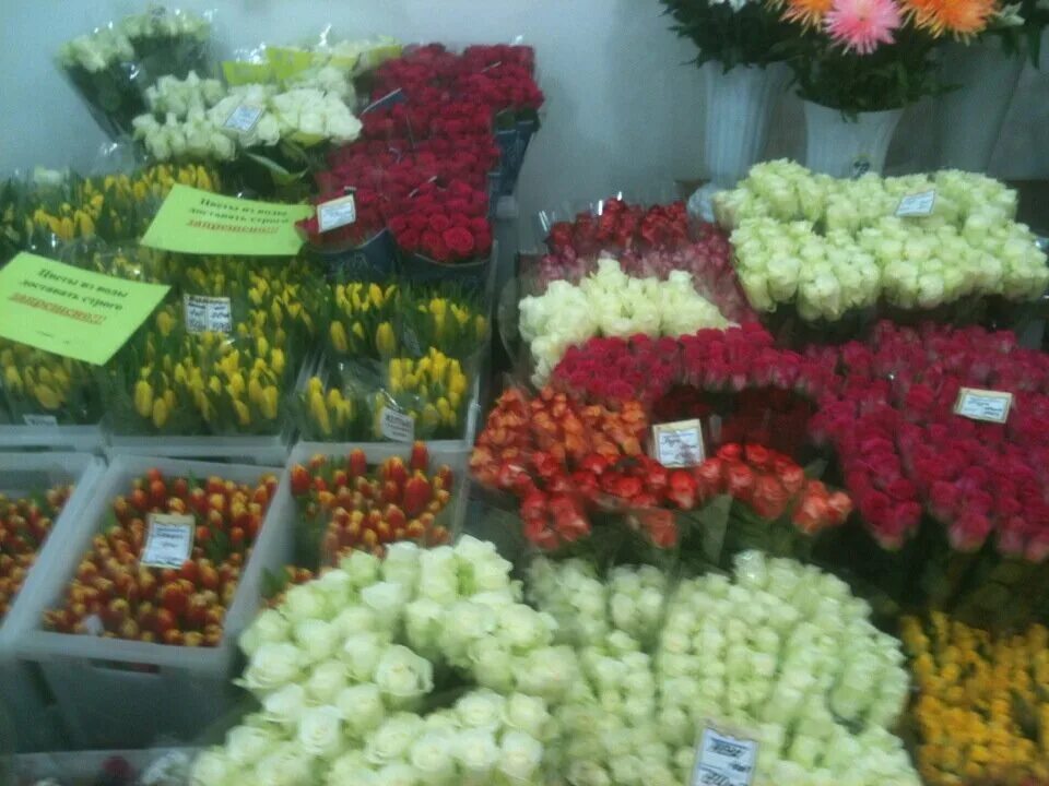 Виктория цвет видное. Агроцвет орск. Букет цветов за 7000 рублей. Доставка цветов видное. Агроцвет.