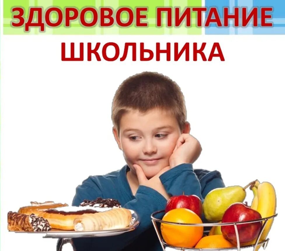 Основы школьного питания