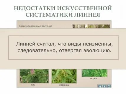 Додарвиновский период кратко