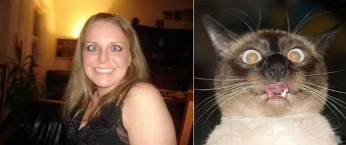 Как то не очень похоже. Как то не очень похоже. Собаки похожи на хозяев. Как то не очень похоже. Как то не очень похоже.