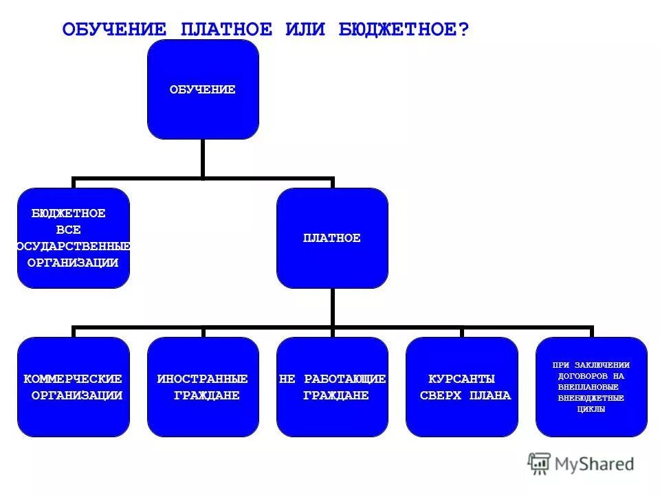 Организация обучения платное