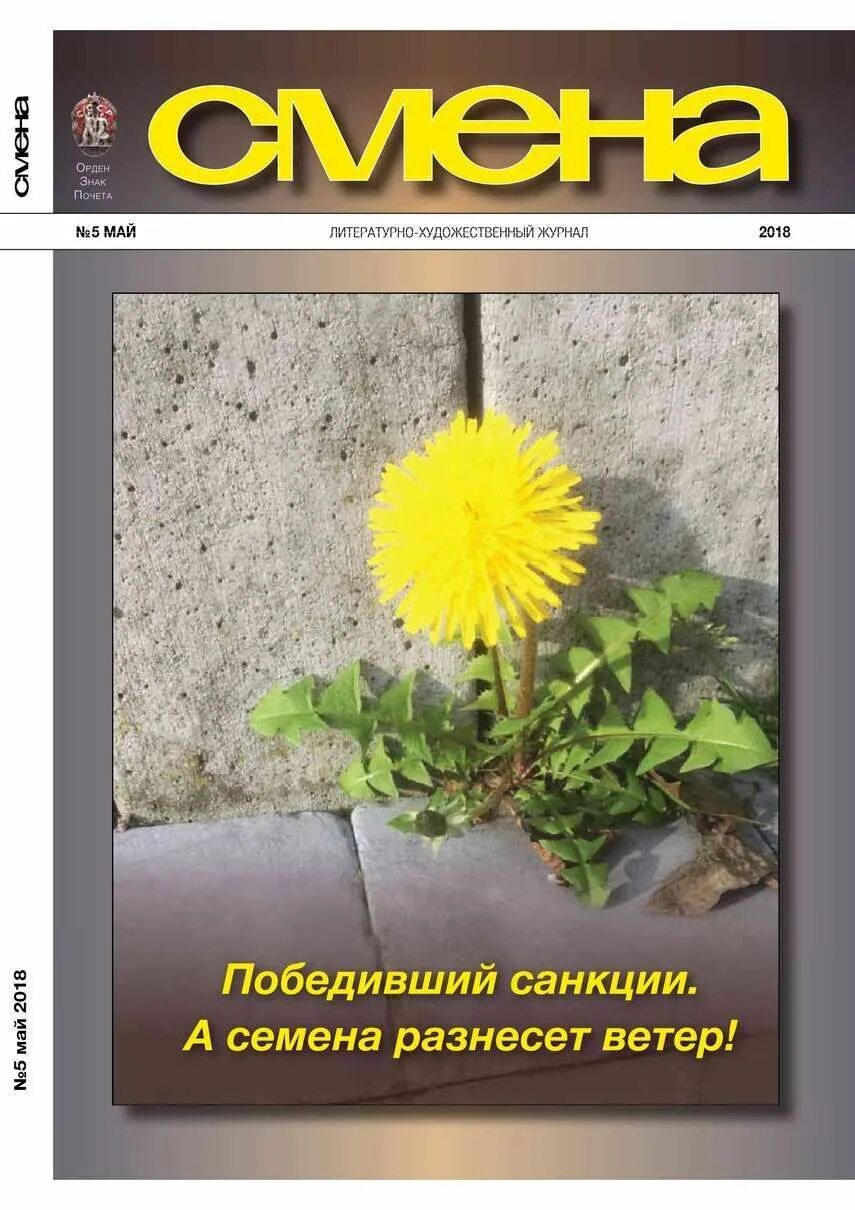 Победить санкции