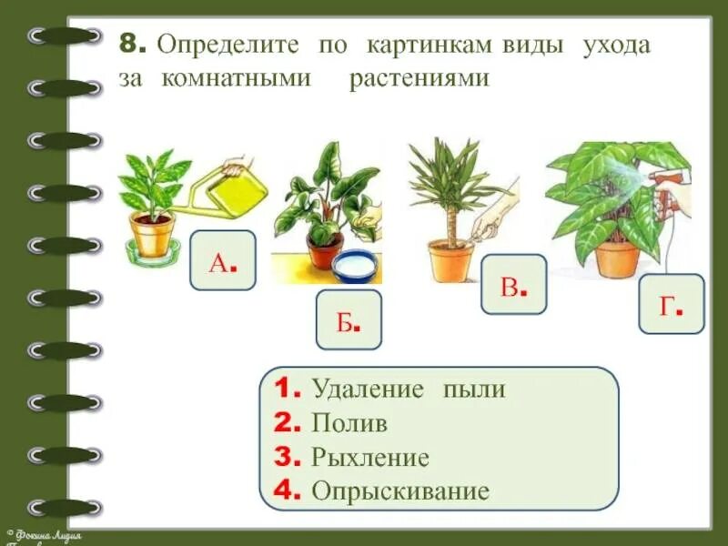 Карту ухаживать. Комнатные растения задания для детей. Комнатные растения задания для дошкольников. Карточки задания комнатные растения. Комнатные растения задания 1 класс.