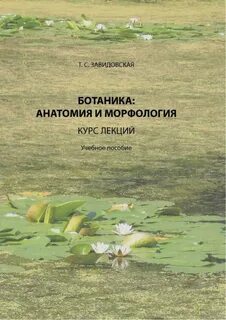 Курс лекций учебное пособие