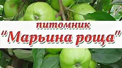 Питомник роща