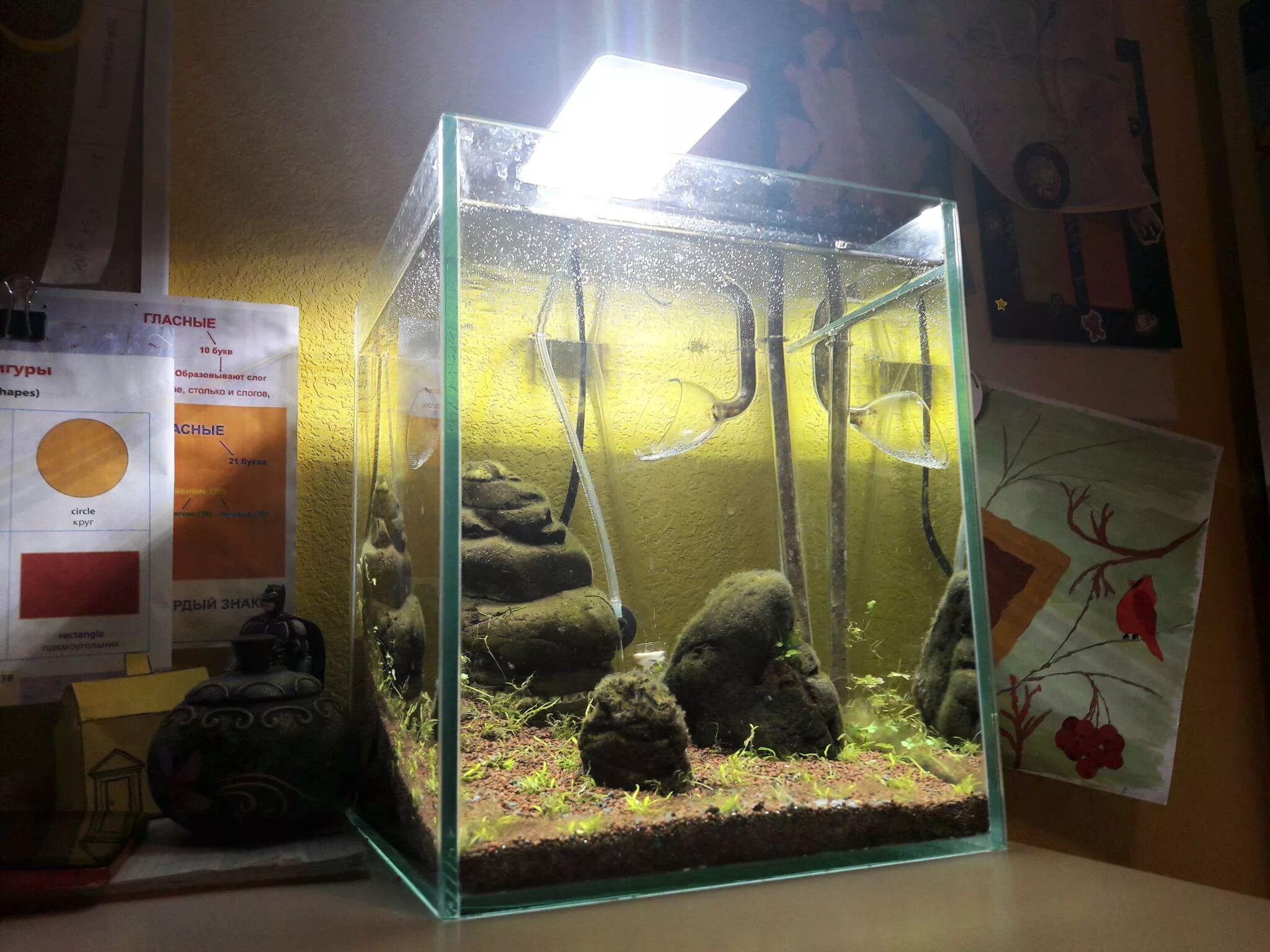 Светильник Aquael Leddy Smart Plant 2. Aquael Plant 6w. Aquael Leddy Smart led ll Plant 6 w белый (светильник). Aquael Leddy 60 XL. Aquael leddy plant