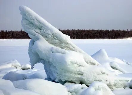 Ропак