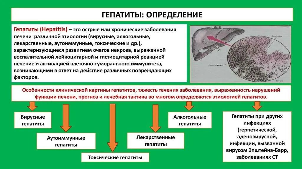 Инфекции различной этиологии. Токсический гепатит печени этиология. хронический алкогольный гепатит патогенез. этиологические факторы цирроза печени. цирроз печени вирусной этиологии.