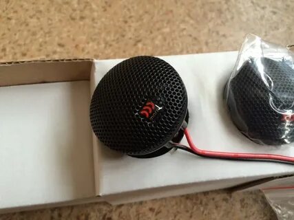 Morel tempo 6