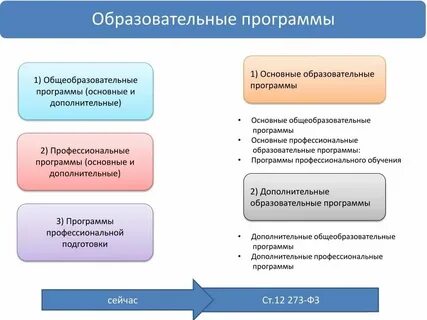 Основной и вспомогательный виды деятельности