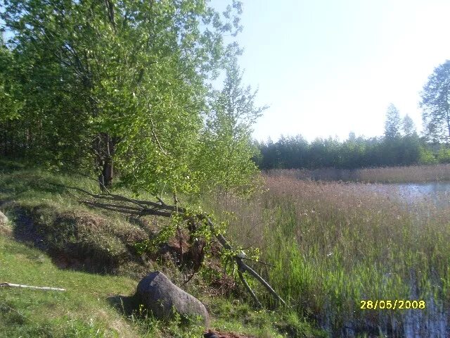 Погода в поддорье новгородской области. Поддорье Новгородская область Поддорский район. Селеево Новгородская область Поддорский район. Д Перегино Поддорский район Новгородская область. Деревня Селеево Новгородской области.