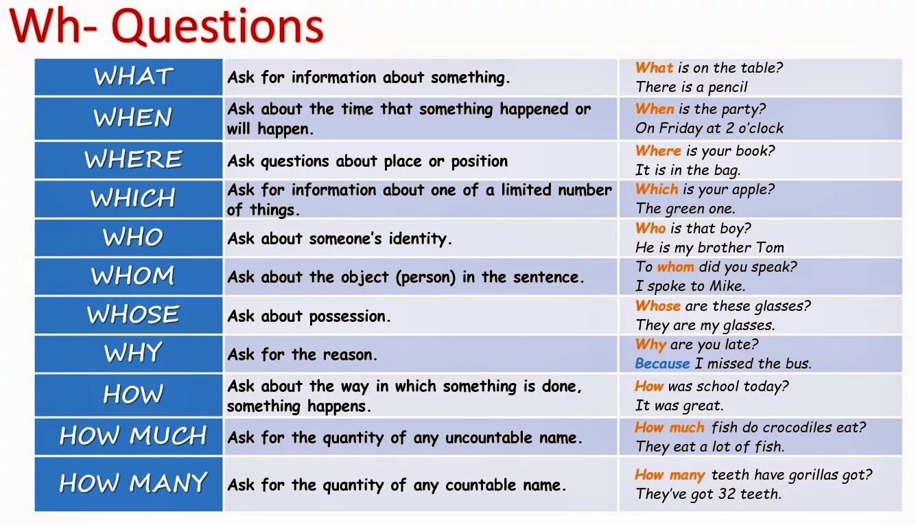 Questions examples. WH questions в английском. WH вопросы в английском языке. Вопросы с what в английском. WH-questions в английском языке.