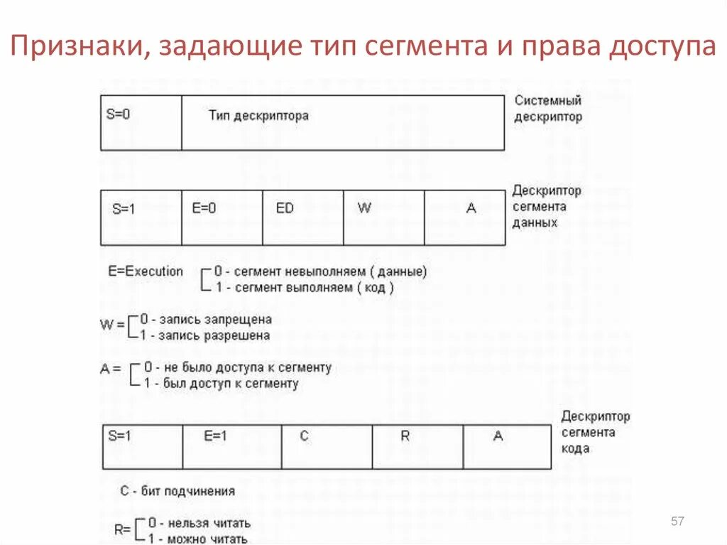 Дескрипторы данных. Сегмент кода. дескриптор системный. кодовые сегменты. сегмент кода и сегмент данных.