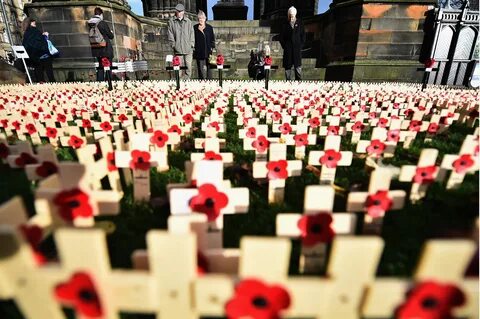 Remembrance day in australia 9 grade