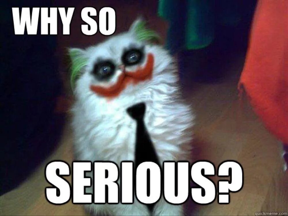 Why you not visit peter. Ты че такой серьезный кот. why so serious кот. серьезный кот мем.