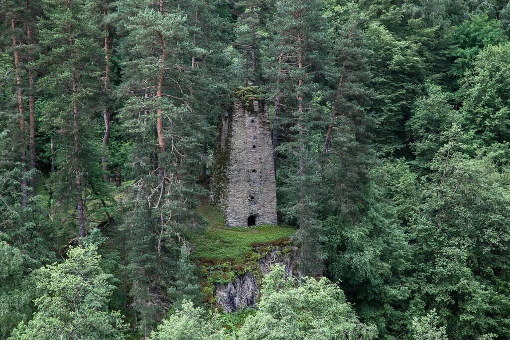 Башня в лесу. Башня в лесу. Сказочная башня. Мистический замок. Смотровая башня на высоком дереве.