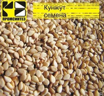 Кунжут кодинск