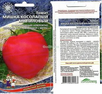 Томат мишка косолапый малиновый