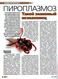 Клещи народные лечение