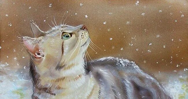 Кот принес на лапках первый снег стих. Утром кот принес на лапах первый снег. утром кот принес на лапках. первый снег утром кот.