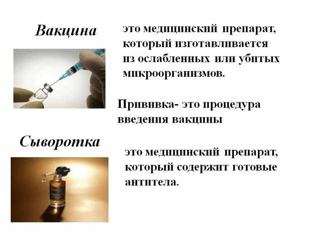 Современные вакцины и сыворотки. Вакцина. Вакцина и сыворотка. Понятие прививка. Прививка это определение.