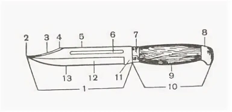 Основные конструктивные элементы ножа криминалистика. Схема ножа криминалистика. Клинок схема криминалистика. Строение ножа криминалистика. Части холодного оружия