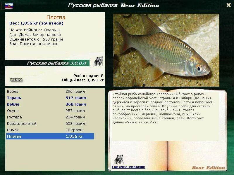 Русская рыбалка 3 волга красноперка. Рыболов меню. Рыболов меню. Аральский усач рыба. Рыболов меню.
