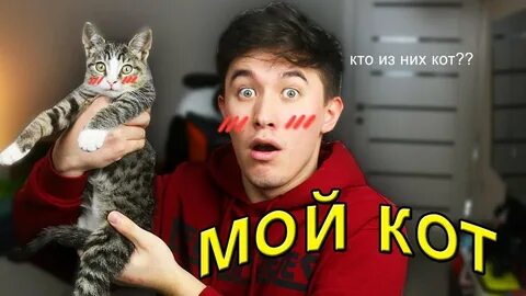 Мой кот кот кот когда был