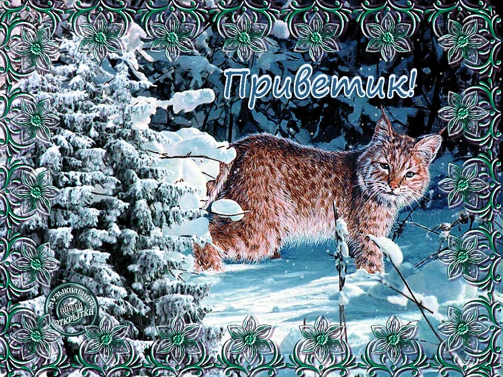 Блестящие зима текст