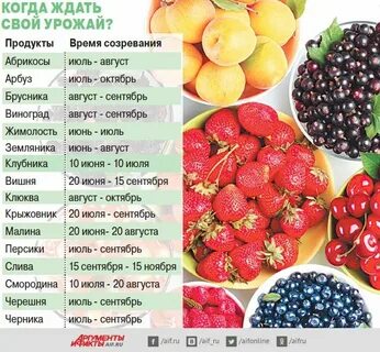 Можно ли отправлять фрукты