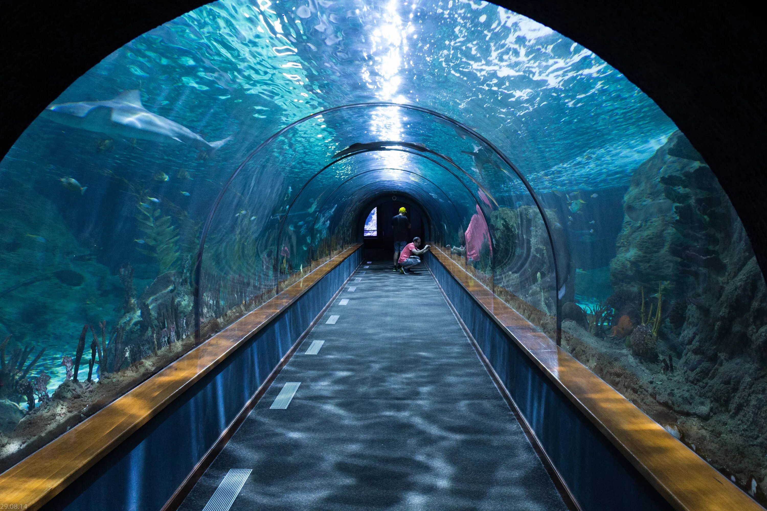 Лондонский аквариум. (Sea Life. London Aquarium). Океанариум Сеа лайф Лондон тоннель. Москвариум на ВДНХ туннель. Москвариум большой аквариум. Жд вокзал океанариум