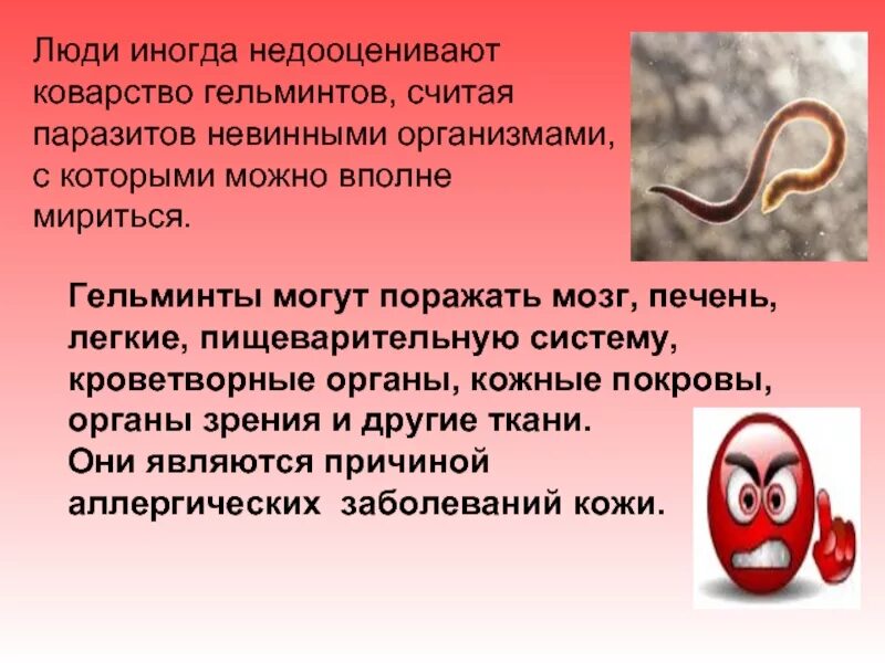 Как человек заражается паразитами. Паразиты гельминты человека. черви паразитирующие в организме человека.