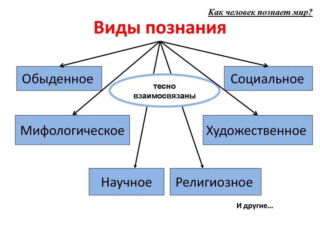 Разновидности знаний