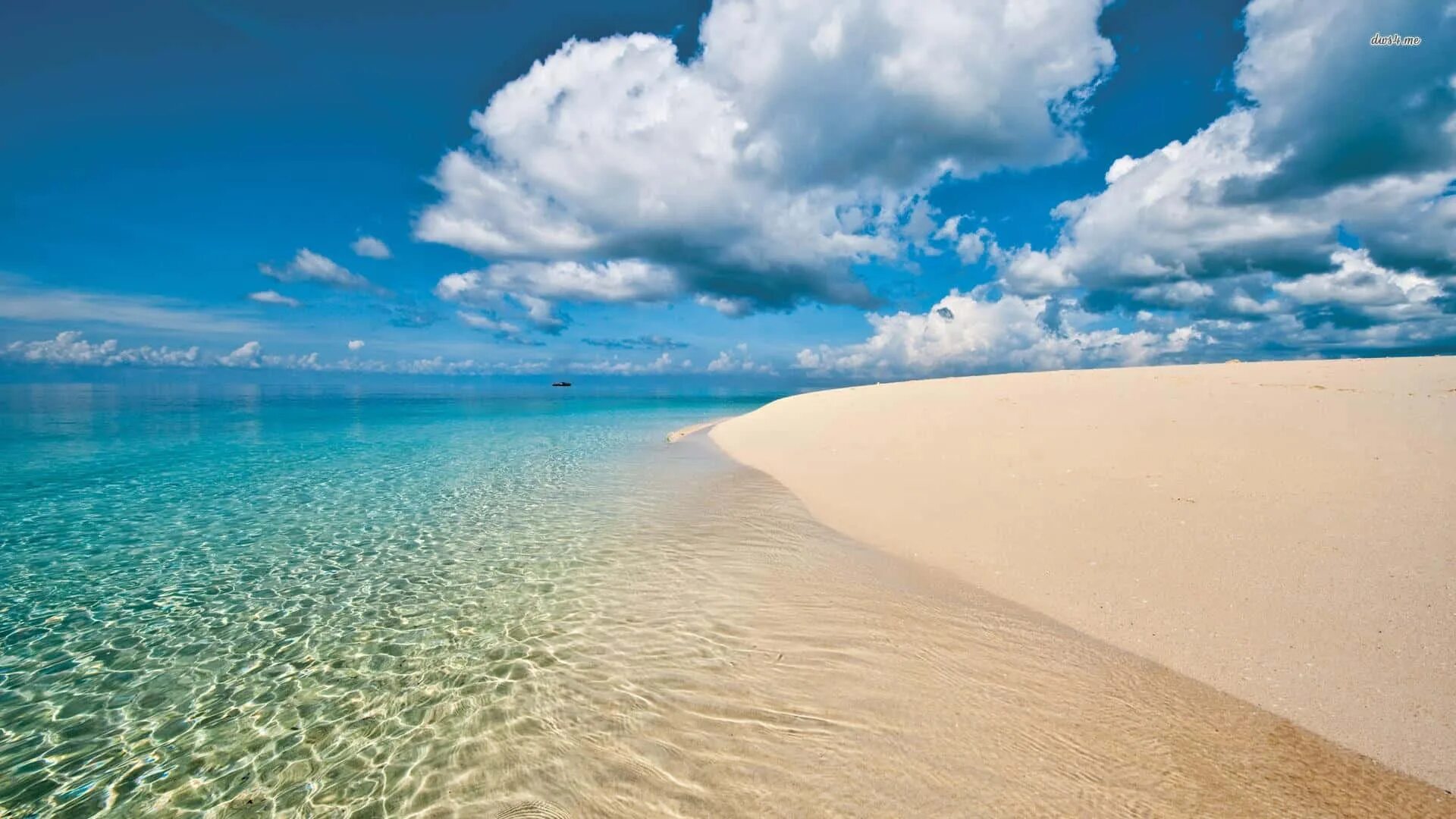Beach full
