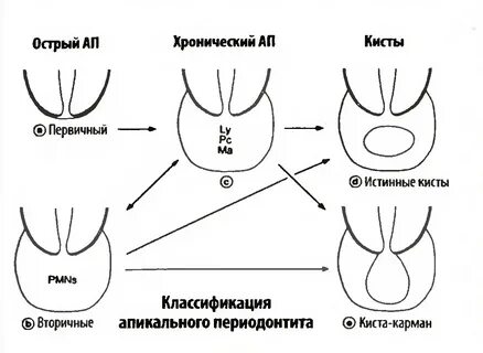 Размеры кист классификация