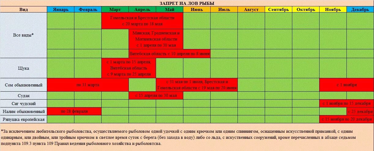 В каких областях запрещена рыбалка. Когда запрет на ловлю щуки. Запрет ловли рыбы. Когда запрет на рыбалку. Запрет на ловлю рыбы в Беларуси.