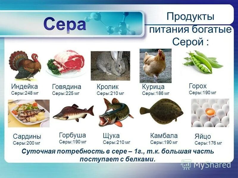 Реакция на серные продукты. Продукты богатые серой. Пища богатая серой. Сера в продуктах. Продукты с большим содержанием серы.