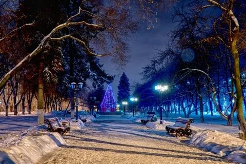 Парк ленина новосибирск