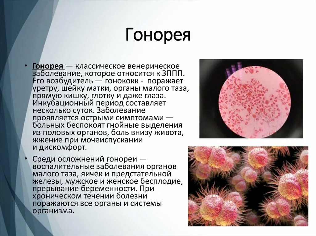 Жжение в канале у мужчин без выделений. Грибковые заболевания передающиеся половым путем. Заболевания передающиеся половым путем презентация.